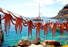 The Flavors of Greece