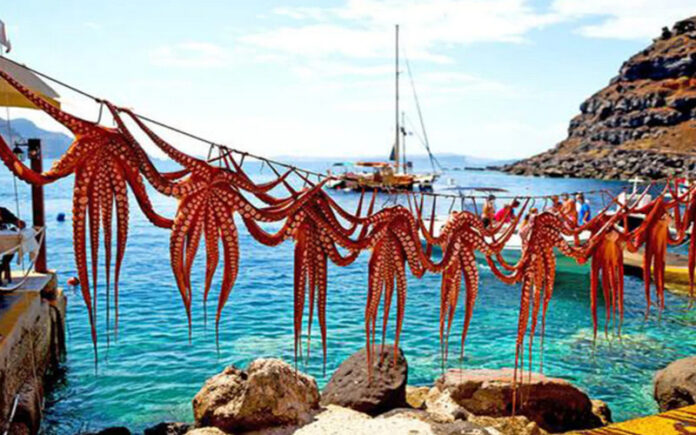 The Flavors of Greece