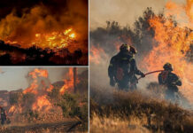 Crete Wildfire forces 5,000 to evacuate as Heatwave continues