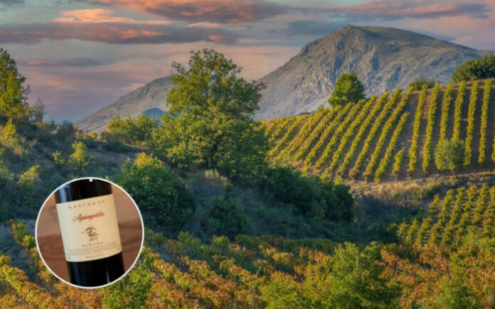 Top 7 Wine Regions in Greece to Visit in the Fall